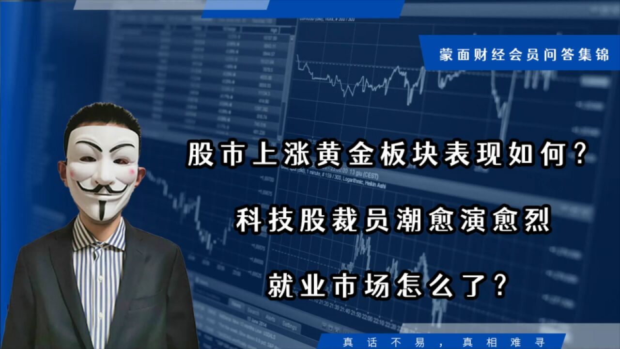 股市上涨黄金板块表现如何?科技股裁员愈演愈烈就业市场怎么了?【会员问答集锦】