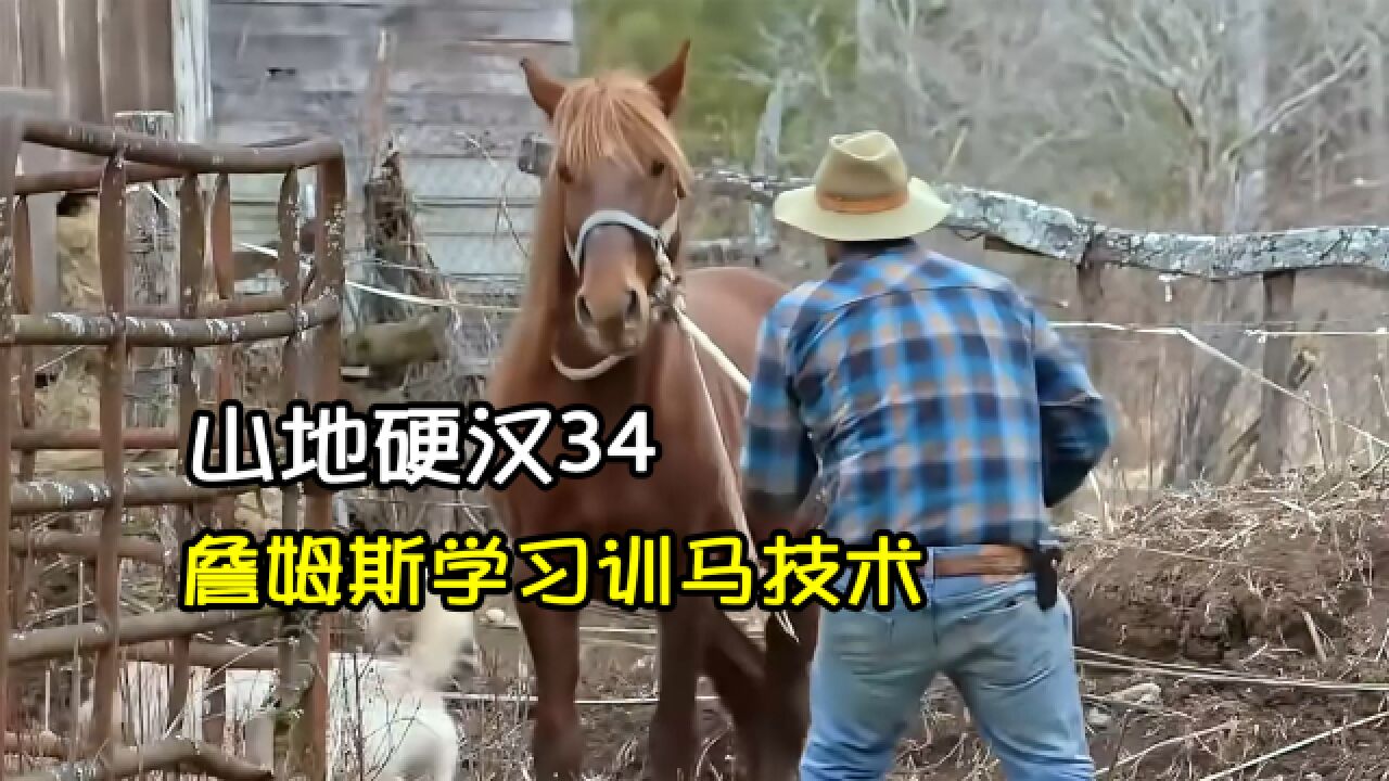 詹姆斯用干草换取训马技术,种马受惊躁动|山地硬汉34