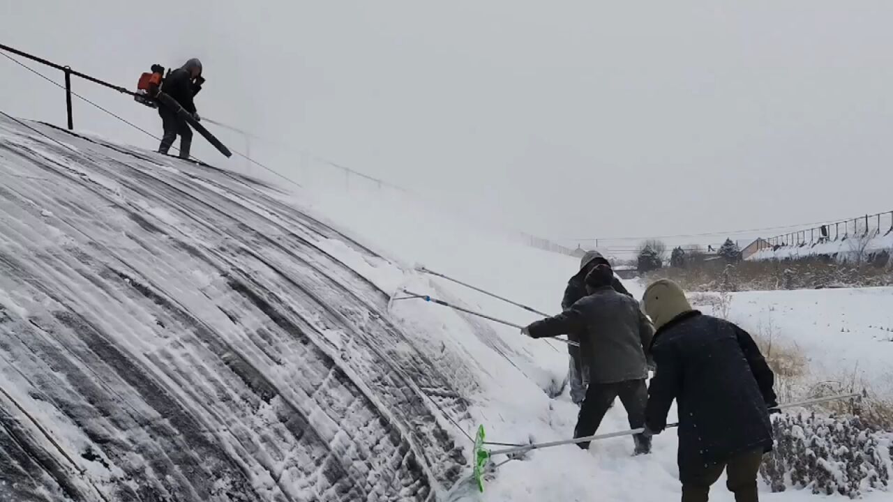 大连庄河兰店乡菜农扫雪用上灭火设备