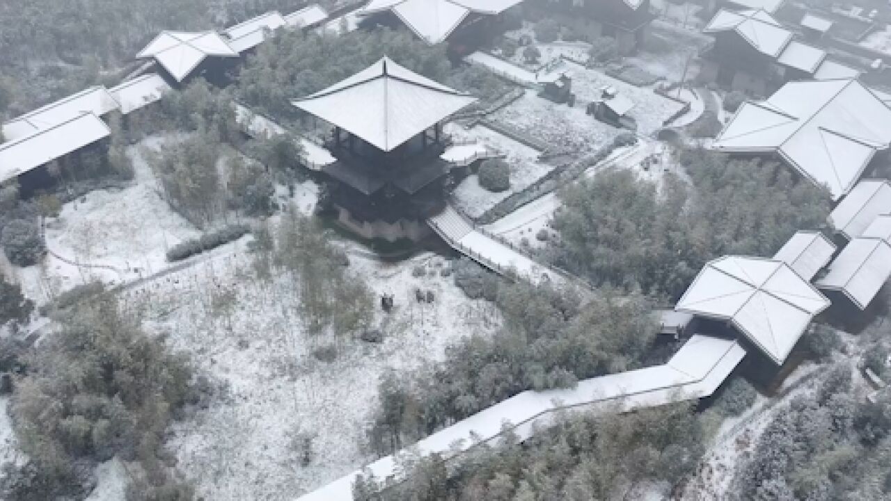 银装素裹!航拍湖州长兴雪中美景