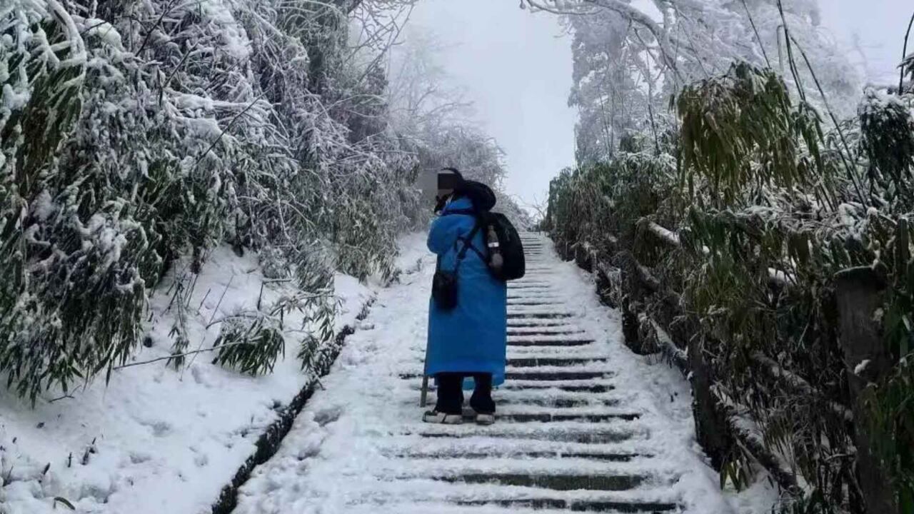 独游峨眉山失联女生已坠崖身亡,75秒回顾时间线,母亲否认轻生