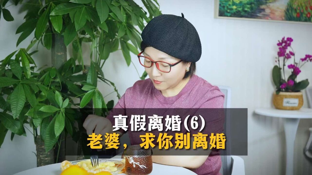 真假离婚?老婆,求你别离婚!