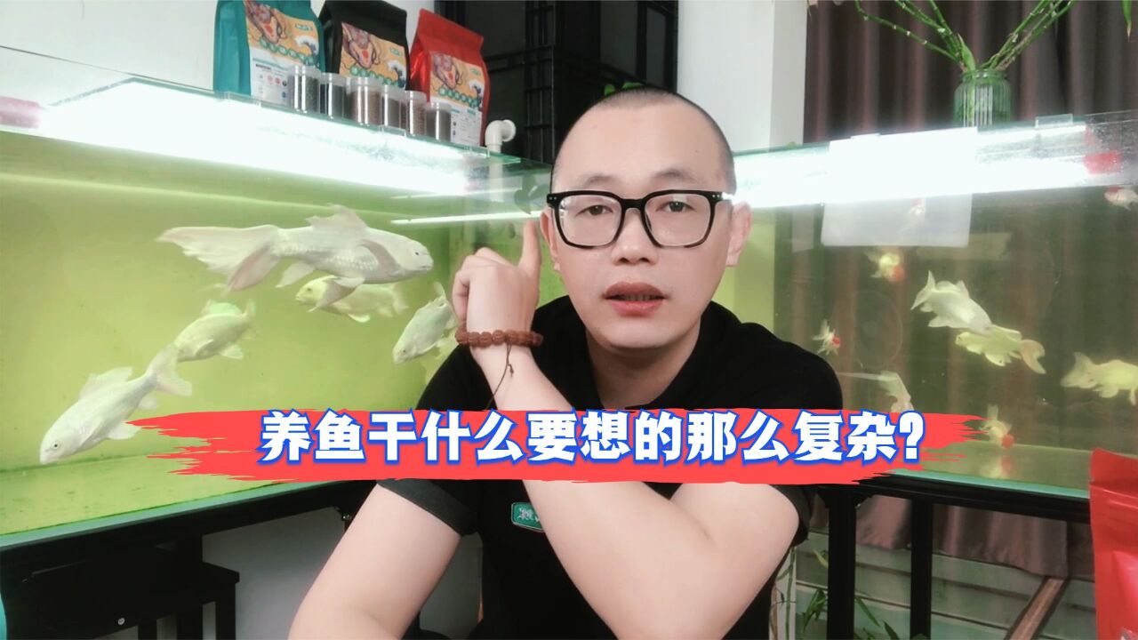 养鱼干什么要想的那么复杂?