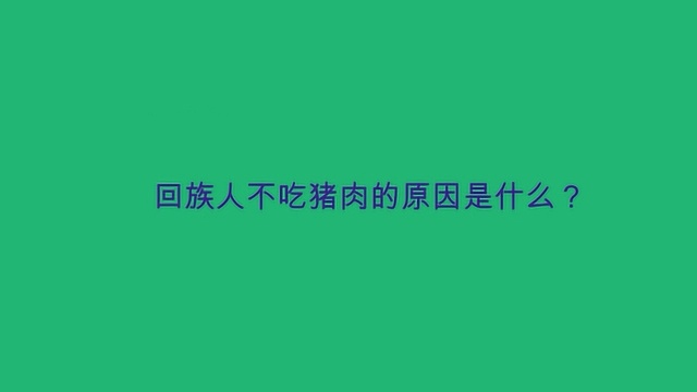 回族人不吃猪肉的原因是什么?