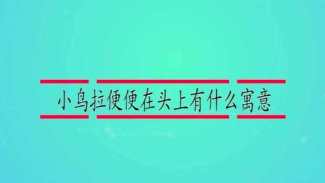 小鸟拉便便在头上有什么寓意