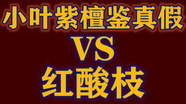 分辨大红酸枝全面识别真假印度小叶紫檀