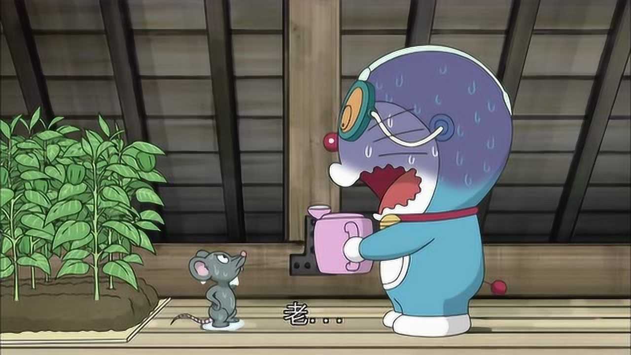 哆啦a梦哆啦a梦被老鼠吓晕醒来发现惊恐一幕他太惨了