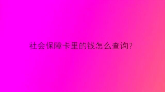 社会保障卡里的钱怎么查询?