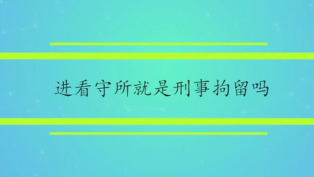 进看守所就是刑事拘留吗