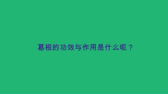 葛根的功效与作用是什么呢?