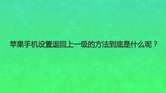 苹果手机设置返回上一级的方法到底是什么呢?