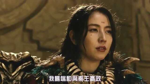 王者天下:山之女王杨端和登场,人美话不多,但够狠