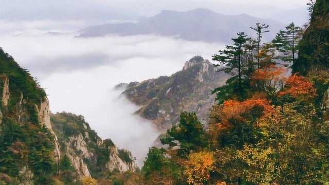 秋日的洛阳老君山风景,云雾缭绕,红叶漫山遍野