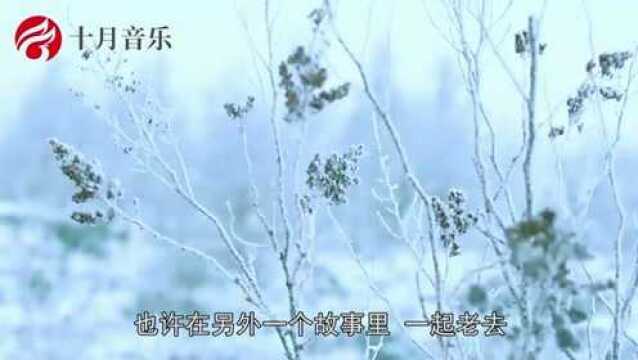 阿云嘎深情演唱《没有你的冬季》,歌词句句走心,听完泪流两行