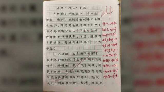 作文评语每次10000字!杭州一小学老师坚持26年,她都写了点啥