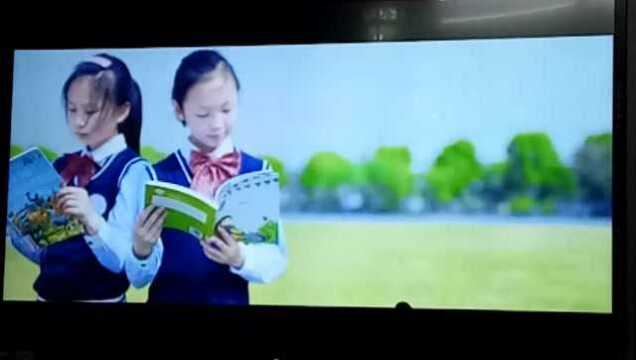 20191122莲花学校宣传片《种一朵莲花在心上》