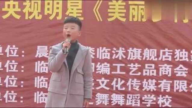 小小歌星张煦超在老家演出,气场全开像个专业的歌手,有前途