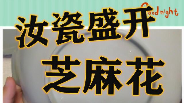 “华叔带你玩收藏”137,宋代汝瓷的天窗:支钉痕(下)