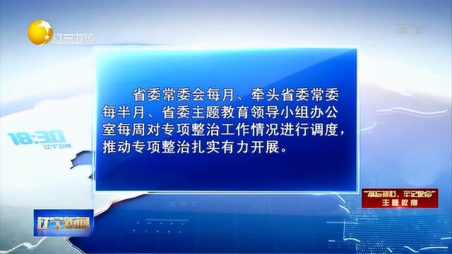 辽宁全省深入开展落实党中央决策部署阳奉阴违问题专项整治