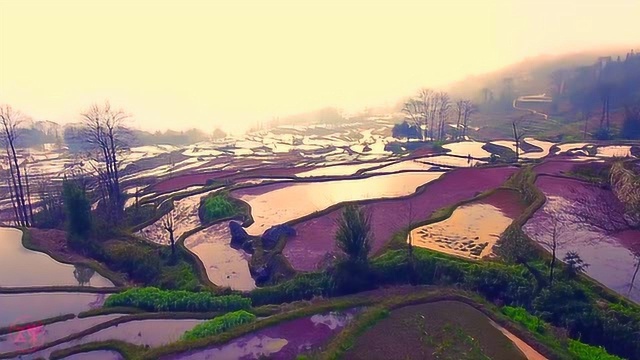 快来投稿,2019年首届哈尼梯田无人机摄影大赛佳作不断