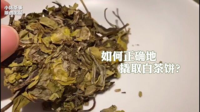 泡茶时,告别手残党,要撬好一饼白茶饼,少不了这个教程