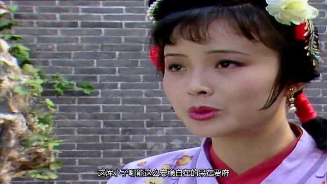 《红楼梦》茗烟真是太“贼”,“按着一个女孩子”,究竟做了什么