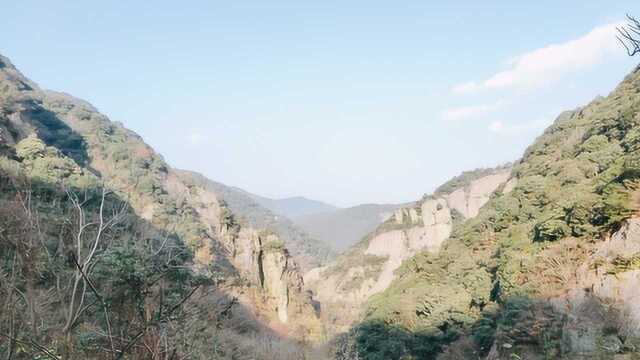 风景秀美的北仑九峰山,梅花已经开发了!