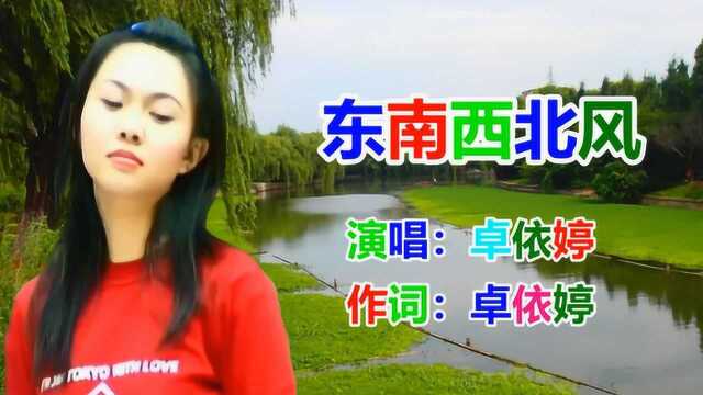 卓依婷《东南西北风》经典老歌