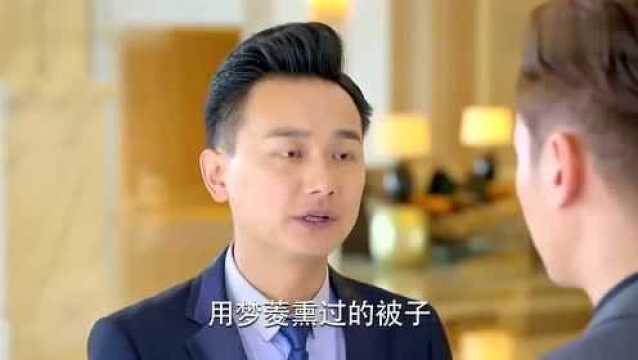 酒店香氛断产,总裁亲自出马寻找,竟无意发现失踪爱人踪迹