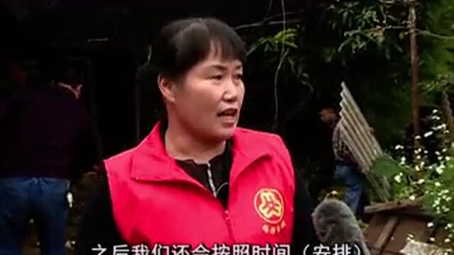 大屯镇启动“巾帼服务革陋习 提升环境助脱贫”行动!