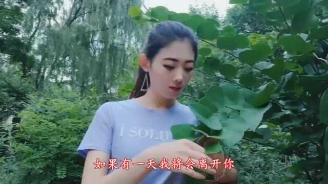 怀念歌曲《无言的结局》悲怆深情的旋律,甜美清澈的嗓音