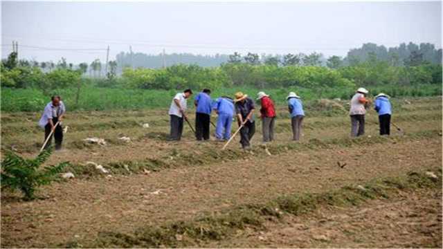 农村没有土地使用证怎么办?如何办理?有哪些程序