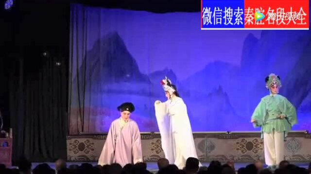 四小名旦李君梅演唱秦腔《白蛇传》台下观众如云