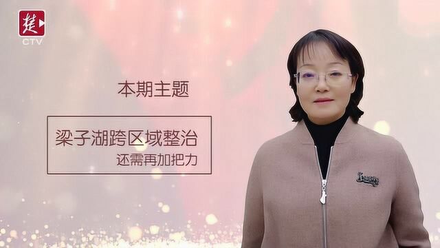 代表来了第三期:梁子湖何时告别“多个婆婆”