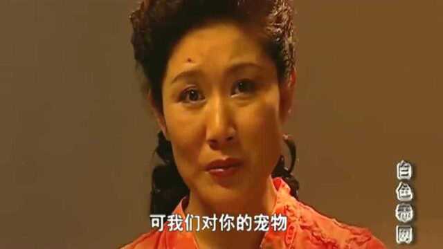 白色毒网:毒瘾女对狗如此感兴趣,一听到孩子,变了脸色