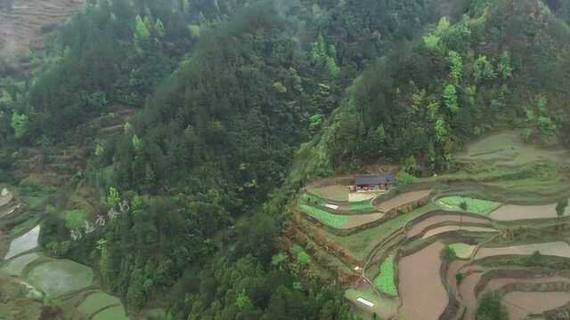 贵州隐居人士,深山中孤独无伴,又如“仙人”般怡然自得