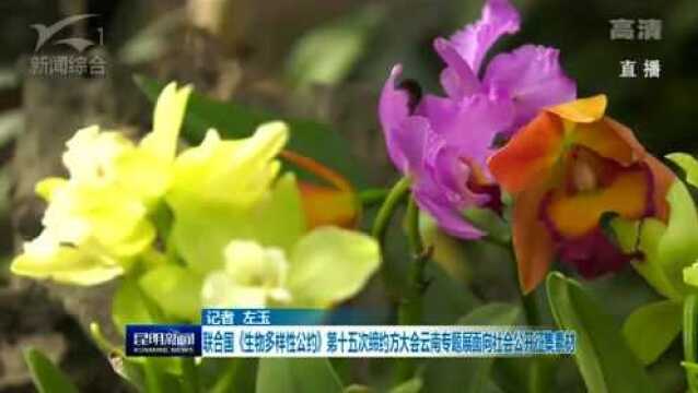 联合国《生物多样性公约》第十五次缔约方大会云南专题展面向社会征集素材