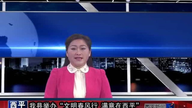 我县举办“文明春风行,满意在西平”宣传活动