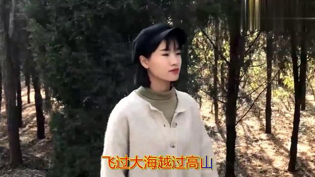 一首情歌《爱你到永远》,甜美动听,爱你的心永远不变!