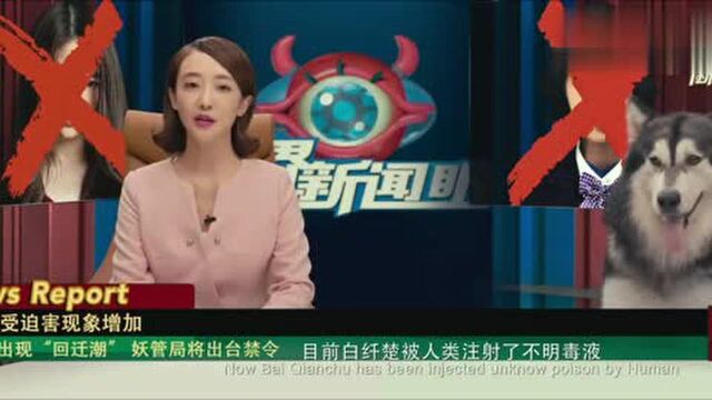 二代妖精:妖管局长颠倒黑白,竟说小伙是凶手,实在是太坏了