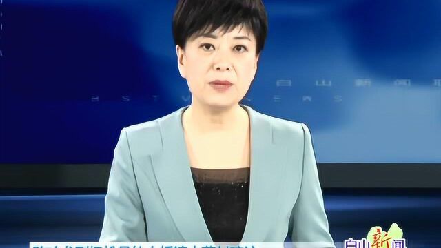 陈映龙到抚松县仙人桥镇大营村暗访