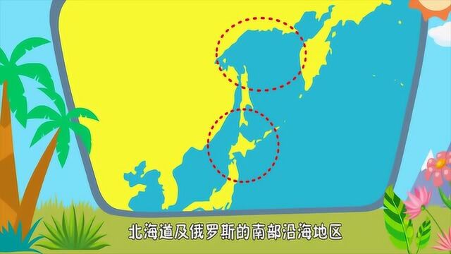 海带是一种在低温海水中生长的海藻,它是飘在海上还是长在海底?