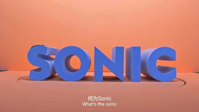 SONIC 3 COLLECTION PREMIUM VIDEO