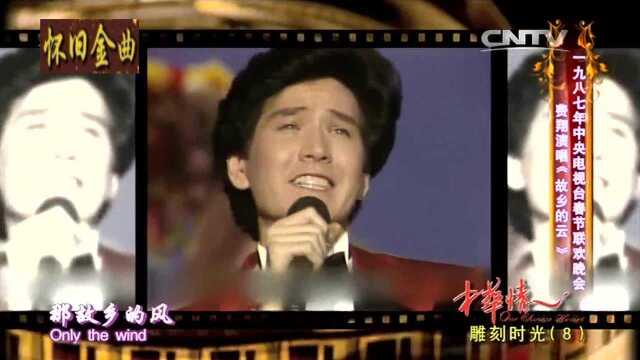 历届春晚经典歌曲:《冬天里的一把火》+《小小的我》