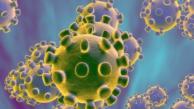 科学家在巴西发现全新神秘病毒:90%的基因无法识别