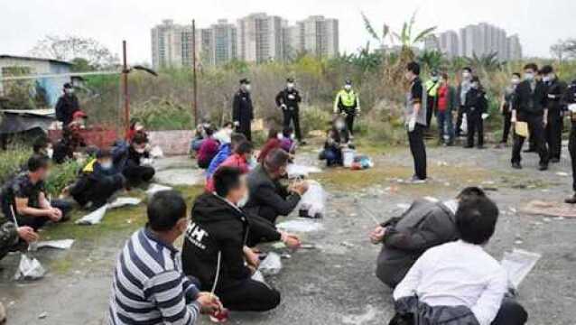 视频曝光!广东石岐31人无视疫情聚众赌博被警方一锅端