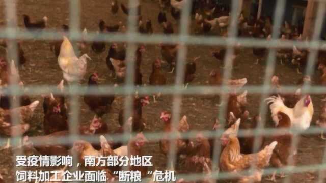 经济日报:中储粮复工复产保供给 饲料企业有粮用