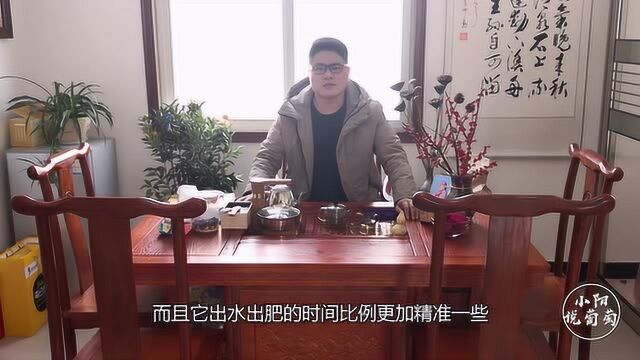 葡萄根系该怎么养护?农村小伙细致讲述,改良土壤是关键