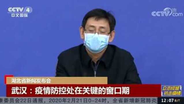 湖北省新闻发布会 武汉:疫情防控处在关键的窗口期