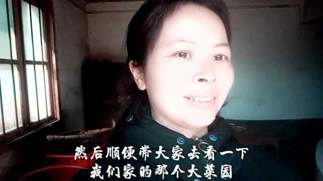 生活在农村的人,去菜园拔菜是一件乐事.一起拔白菜去